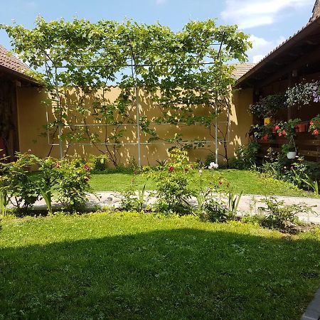 Casa Ovesia Villa Sacele Exterior photo
