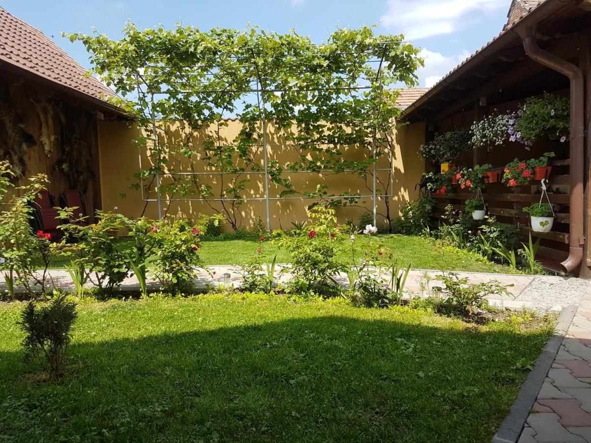 Casa Ovesia Villa Sacele Exterior photo